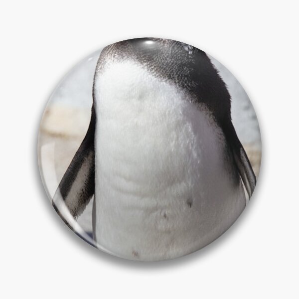 Item preview, Penguin Halestorm Band Winter Wonderland Magic designed and sold by Akanksharedress.