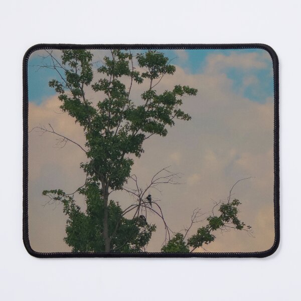 Item preview, Trees and birds in the afternoon designed and sold by SubbieArt.