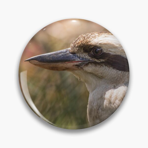 Item preview, Profile of Kookaburra Sitting in a Tree NSW Central Coast of Australia designed and sold by suziq1962.