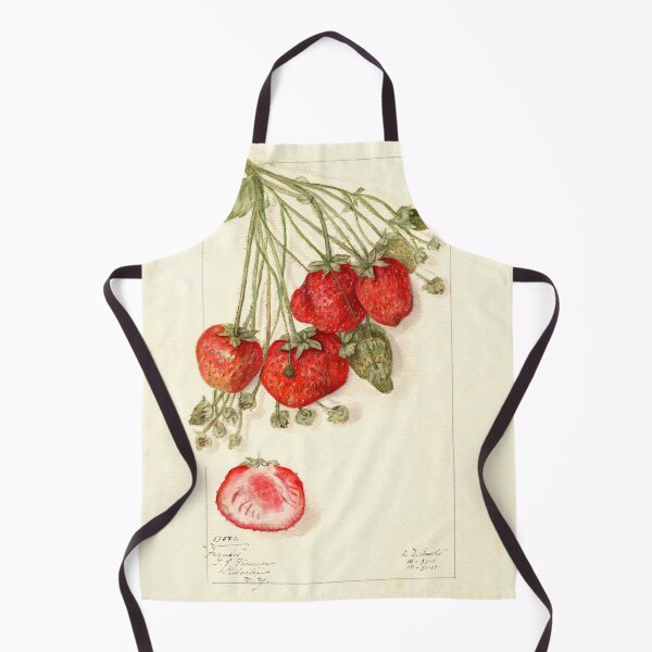 Item preview, Fragaria Francis Wild Strawberry Botanical Illustration designed and sold by Glimmersmith.