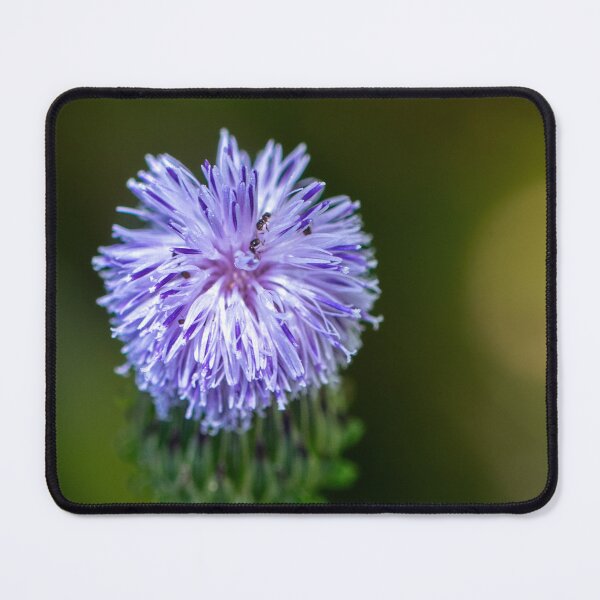 Item preview, A close-up photograph of a delicate purple wildflower designed and sold by Dolpo.