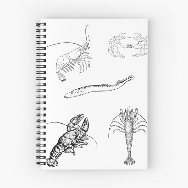 Item preview, sea sketch  designed and sold by ciarameadows.