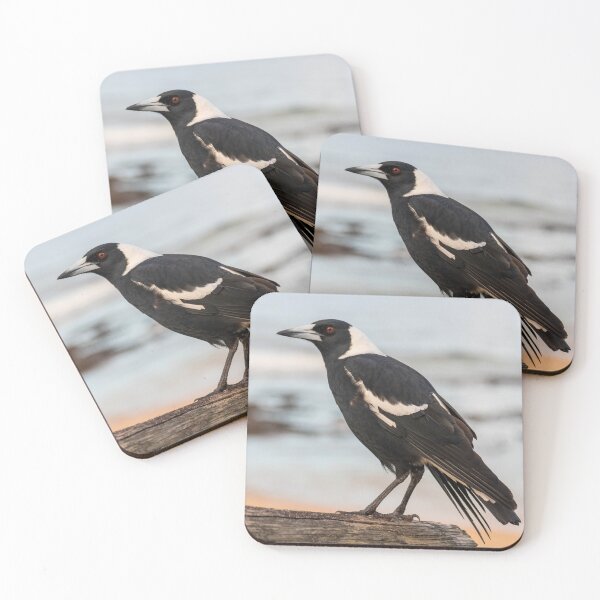 Item preview, Australian Magpie Sitting on Wooden Handrail at Bateau Bay Beach NSW Central Coast of Australia designed and sold by suziq1962.