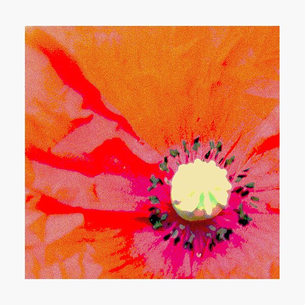 Item preview, Poppy designed and sold by stanowen.
