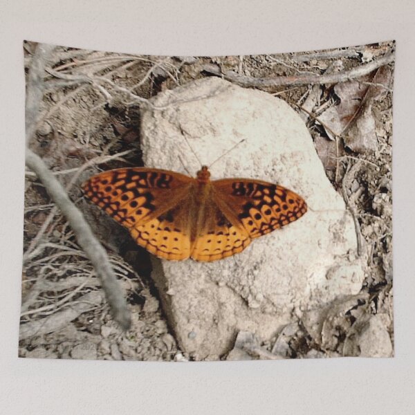 Item preview, Orange Butterfly on Rocky Ground designed and sold by CreationLens.