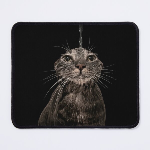 Item preview, Sad shower cat designed and sold by Chonk Borris.