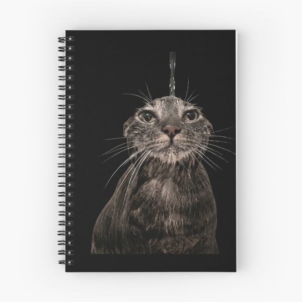Item preview, Sad shower cat designed and sold by Chonk Borris.