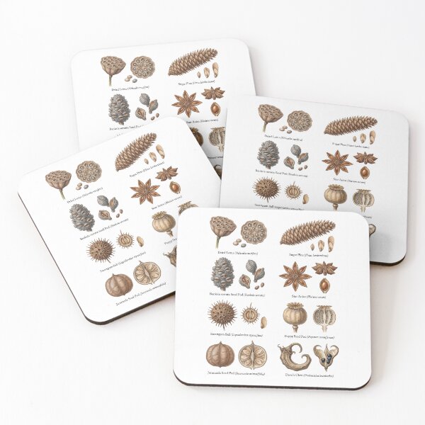 Item preview, Seed Pods designed and sold by ArunDandiboina.