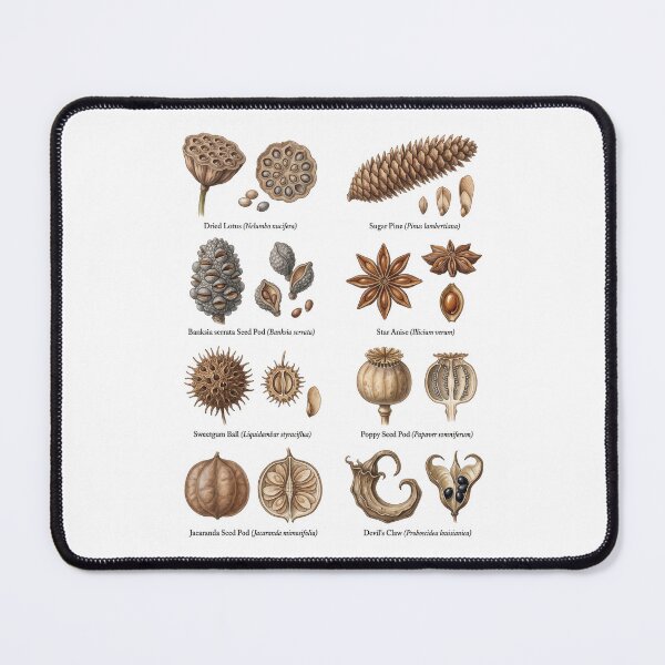 Item preview, Seed Pods designed and sold by ArunDandiboina.