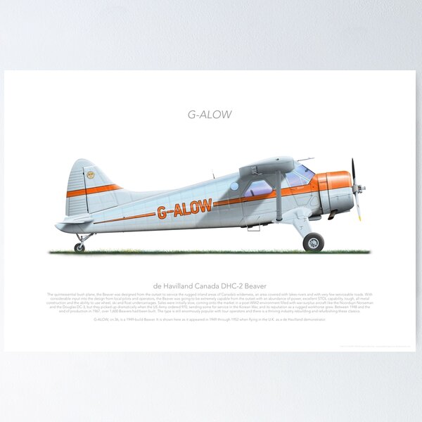 Item preview, DHC DHC-2 BEAVER 36 G-ALOW DEMONSTRATOR 1952 designed and sold by Grubby Fingers Aircraft Illustration.