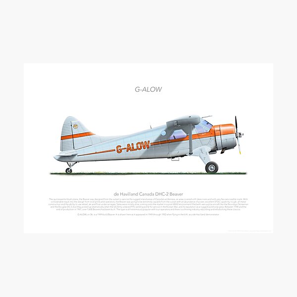 Item preview, DHC DHC-2 BEAVER 36 G-ALOW DEMONSTRATOR 1952 designed and sold by Grubby Fingers Aircraft Illustration.