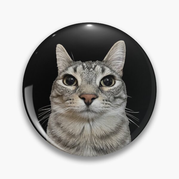 Item preview, Thousand yard stare cat designed and sold by Chonk Borris.
