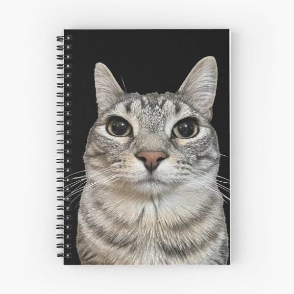 Item preview, Thousand yard stare cat designed and sold by Chonk Borris.