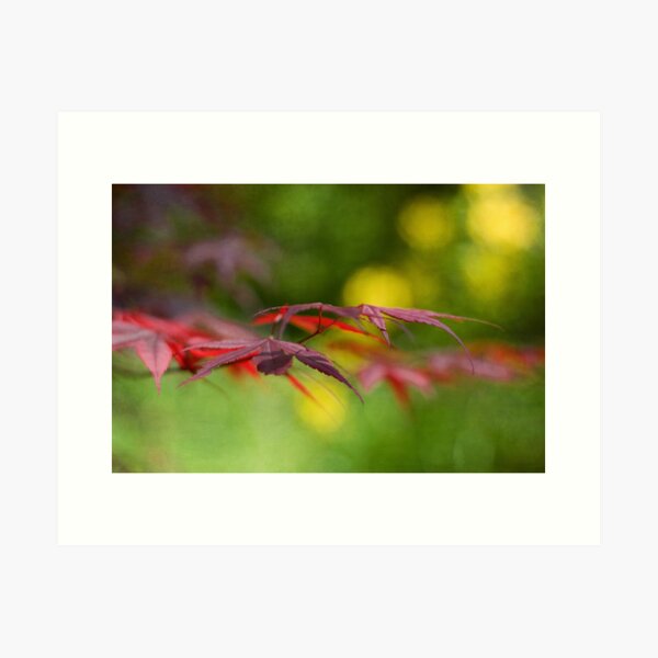 Nature in Profile Art Print