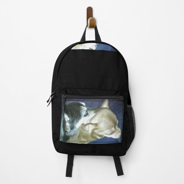 Item preview, Snuggling Chihuahuas designed and sold by CreationLens.