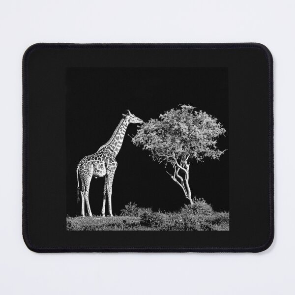 Item preview, Black and White Giraffe Eating Tree Safari Art designed and sold by inkoutninja.