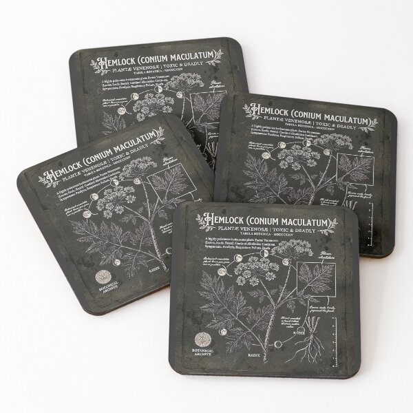 Item preview, Vintage Hemlock Poisonous Botanical Archive Diagram designed and sold by rygenr8.