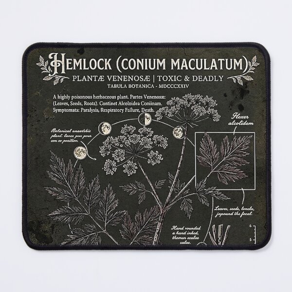 Item preview, Vintage Hemlock Poisonous Botanical Archive Diagram designed and sold by rygenr8.