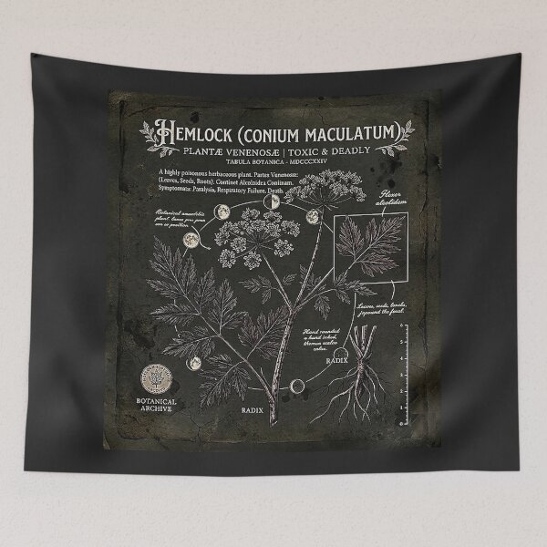 Item preview, Vintage Hemlock Poisonous Botanical Archive Diagram designed and sold by rygenr8.