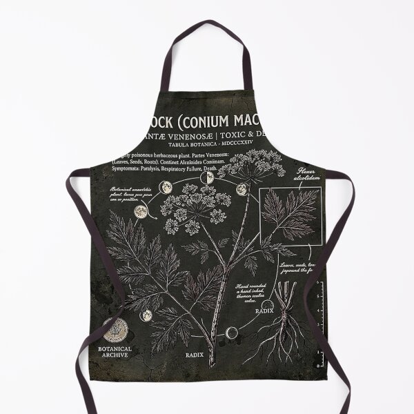 Item preview, Vintage Hemlock Poisonous Botanical Archive Diagram designed and sold by rygenr8.