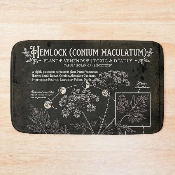 Item preview, Vintage Hemlock Poisonous Botanical Archive Diagram designed and sold by rygenr8.