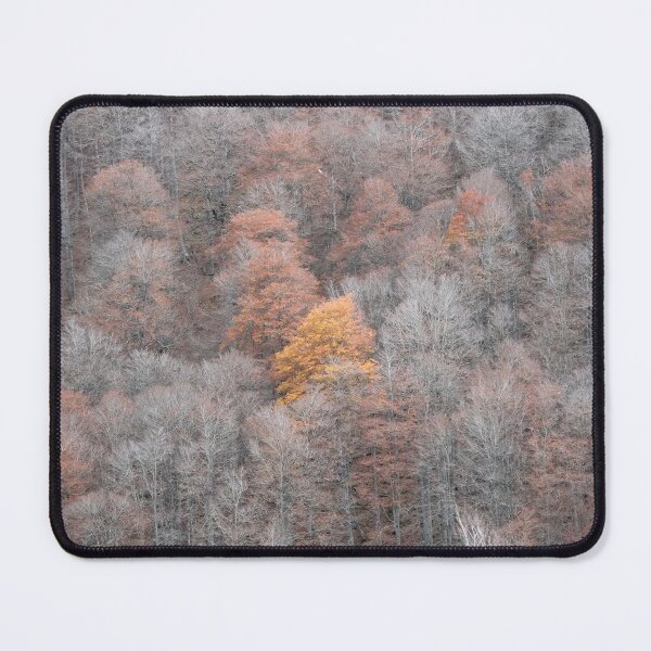 Item preview, Autumn in the Aspe Valley designed and sold by @Mirettes_et_gambettes.