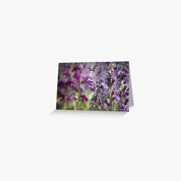 Purple Parade Greeting Card