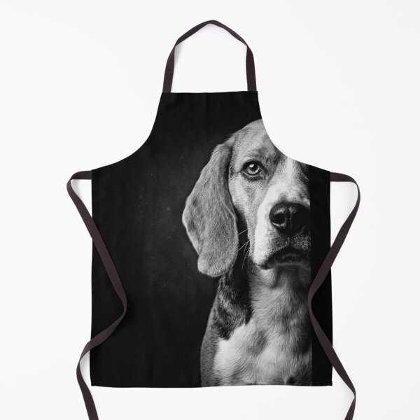 Item preview, Comet designed and sold by O-I-B-F-M-P-T-A.