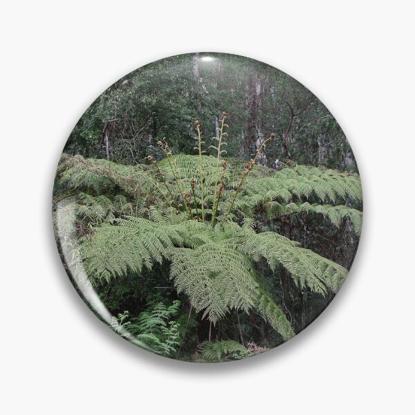 Item preview, Dandenong Ranges Rainforest, Victoria, Australia 2 designed and sold by FranWest.