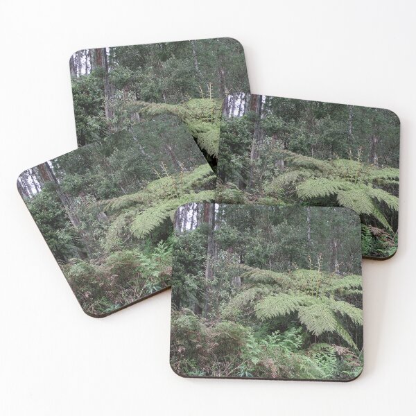 Item preview, Dandenong Ranges Rainforest, Victoria, Australia 2 designed and sold by FranWest.