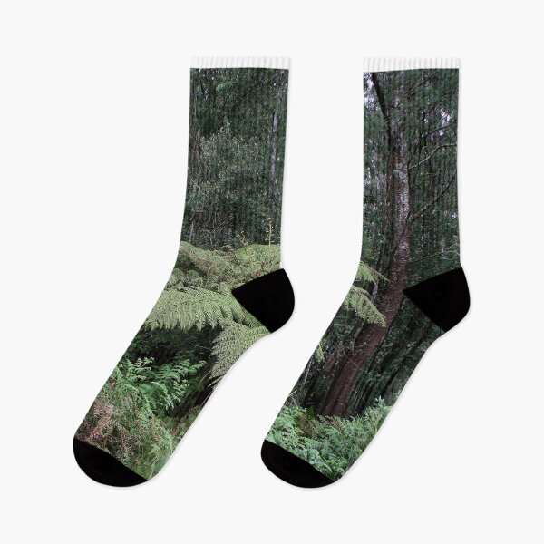 Item preview, Dandenong Ranges Rainforest, Victoria, Australia 2 designed and sold by FranWest.