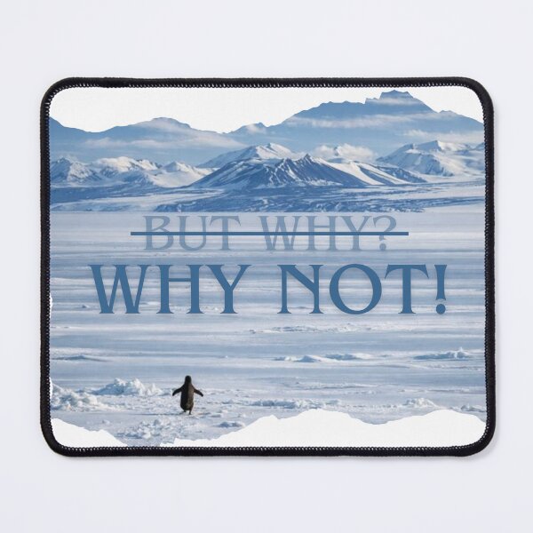 Item preview, But Why? Why Not! designed and sold by S-Twisnity.