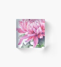 Chrysanthemum Acrylic Block