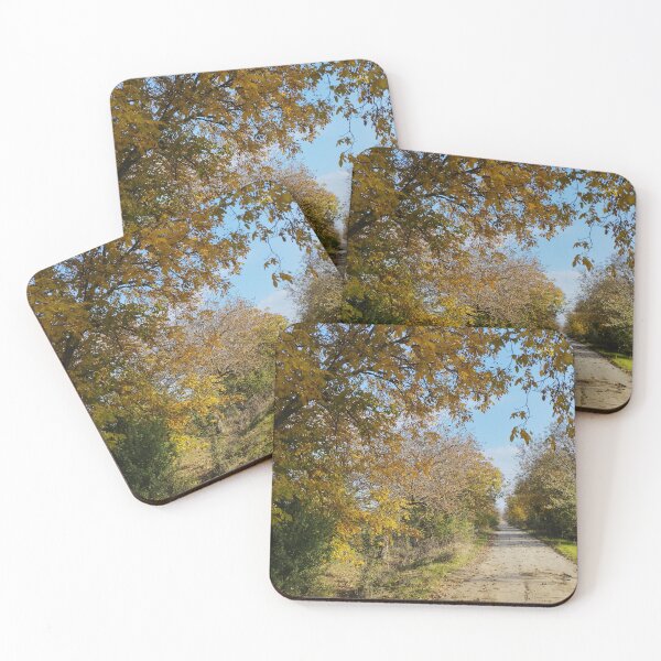Item preview, Rustic Country Road in Autumn: A Scenic Landscape from Dobruja, Bulgaria designed and sold by inspiration3.