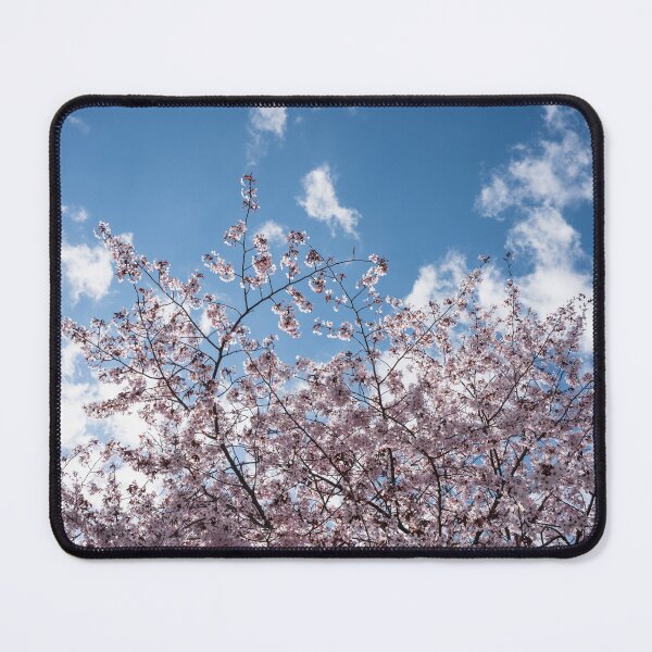 Item preview, Happy Spring Sunshine with Sakura Cherry Blossoms Against the Sky designed and sold by Georgia Mizuleva.