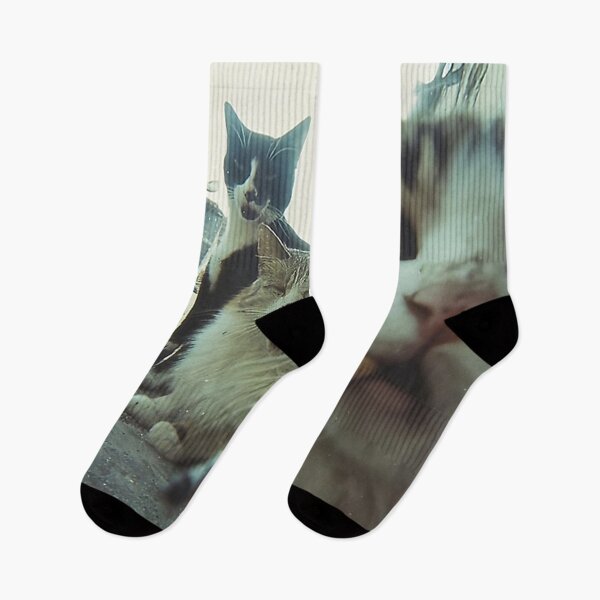 Item preview, Poster Smoking Cats Meme Selfie designed and sold by Geraldineromero.