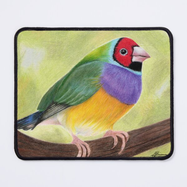 Item preview, Gouldian Finch - Native Australian Bird designed and sold by AussiAllison.