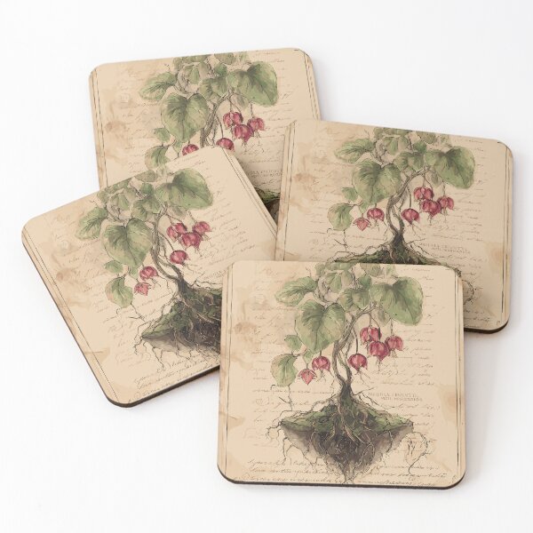 Item preview, The Hanging Heart-Vine - Vintage Botany designed and sold by bapupa.