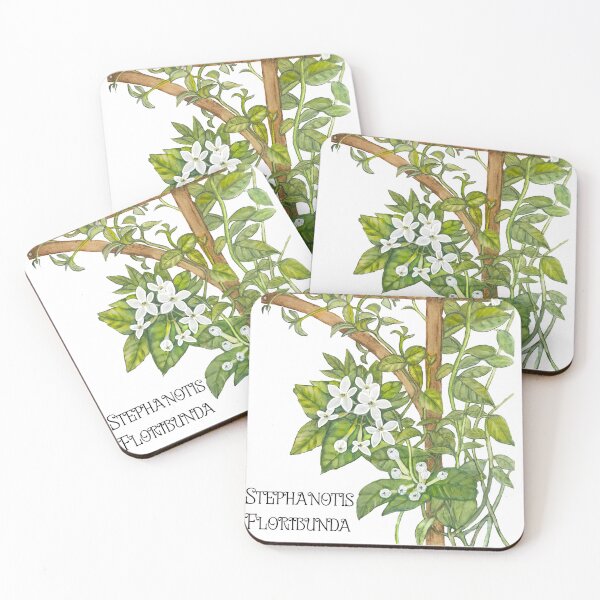 Item preview, Fuerteventura-Stephanotis Floribunda designed and sold by OurShop.