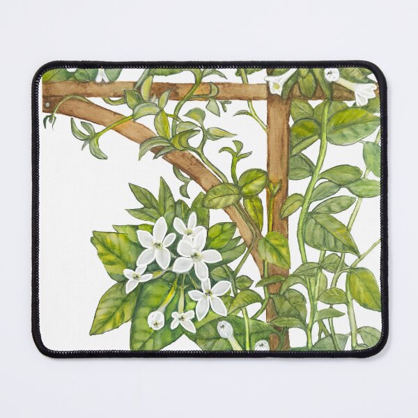 Item preview, Fuerteventura-Stephanotis Floribunda designed and sold by OurShop.