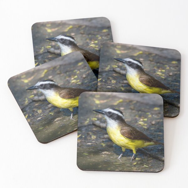 Item preview, Great Kiskadee Wading in Water at Bentsen Rio Grande Valley State Park designed and sold by Debra Martz.