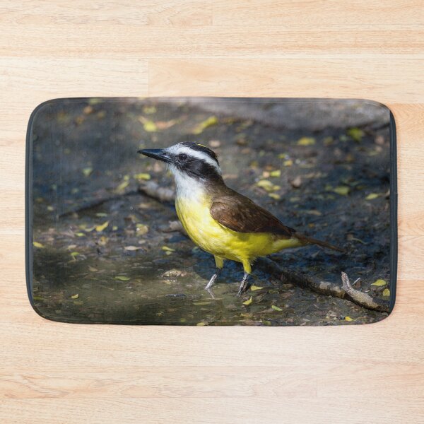 Item preview, Great Kiskadee Wading in Water at Bentsen Rio Grande Valley State Park designed and sold by Debra Martz.