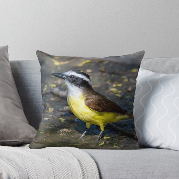 Item preview, Great Kiskadee Wading in Water at Bentsen Rio Grande Valley State Park designed and sold by Debra Martz.