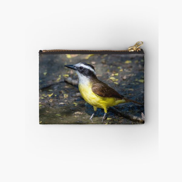 Item preview, Great Kiskadee Wading in Water at Bentsen Rio Grande Valley State Park designed and sold by Debra Martz.