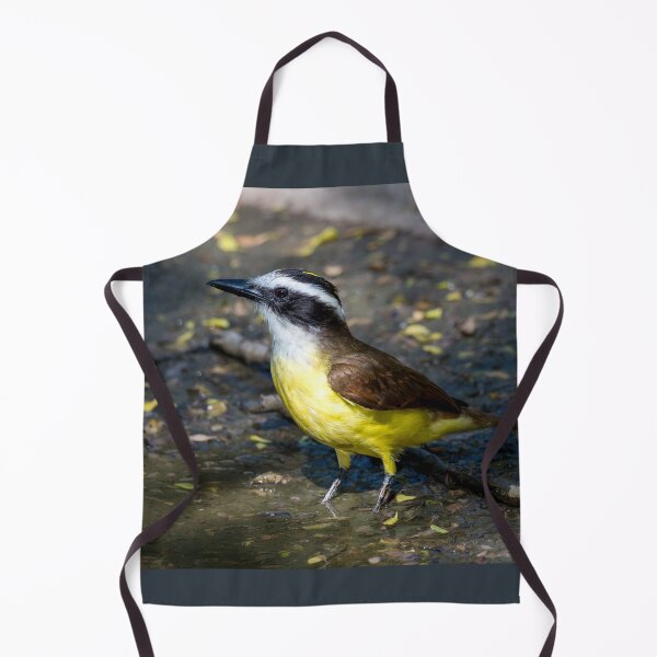 Item preview, Great Kiskadee Wading in Water at Bentsen Rio Grande Valley State Park designed and sold by Debra Martz.
