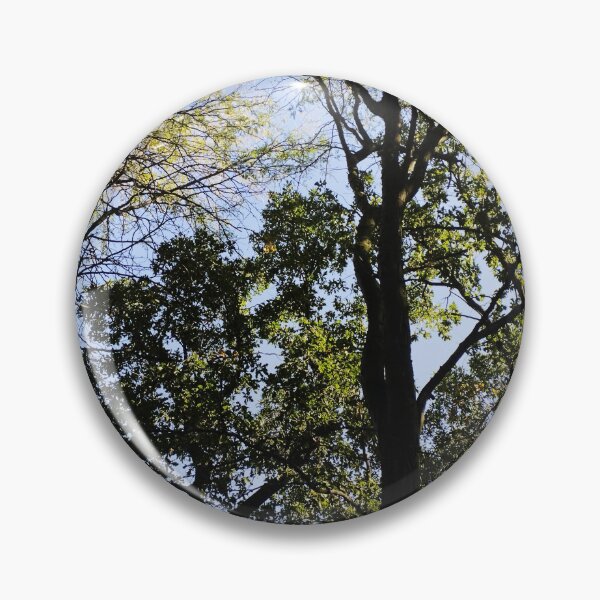 Item preview, Close-up of tall trees in the forest designed and sold by inspiration3.