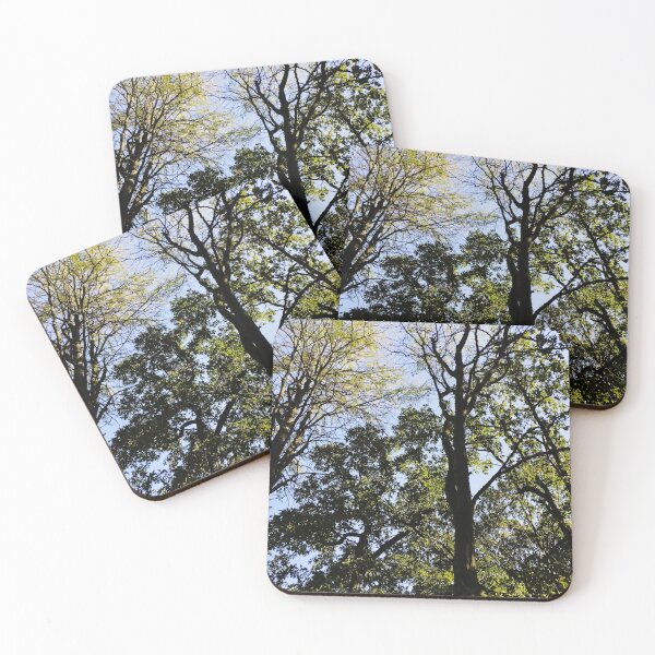Item preview, Close-up of tall trees in the forest designed and sold by inspiration3.