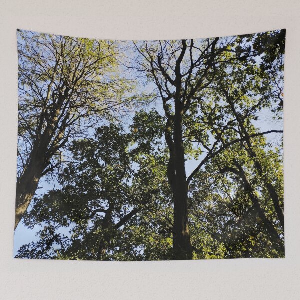 Item preview, Close-up of tall trees in the forest designed and sold by inspiration3.