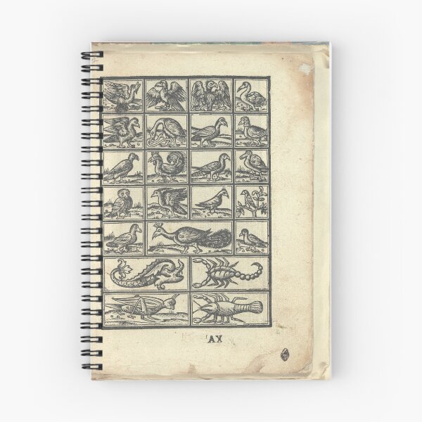 Item preview, Vavassore Ornamental Birds | Vintage Ornithology designed and sold by GammaRay.