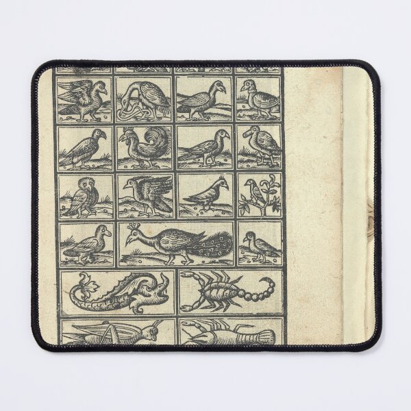 Item preview, Vavassore Ornamental Birds | Vintage Ornithology designed and sold by GammaRay.